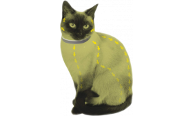 Naturlig Loppe og Flått Halsbånd For Katt