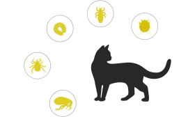 Naturlig Loppe og Flått Halsbånd For Katt